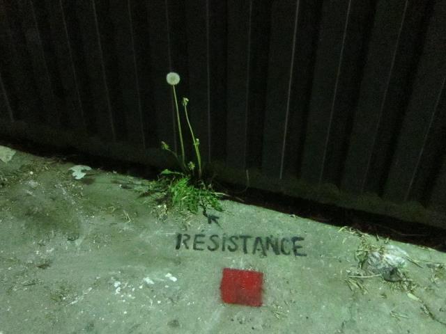 résistance 2012 carré rouge