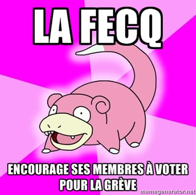 Fédération étudiante collégiale du Québec (FECQ)