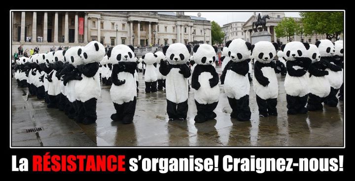 panda_organize