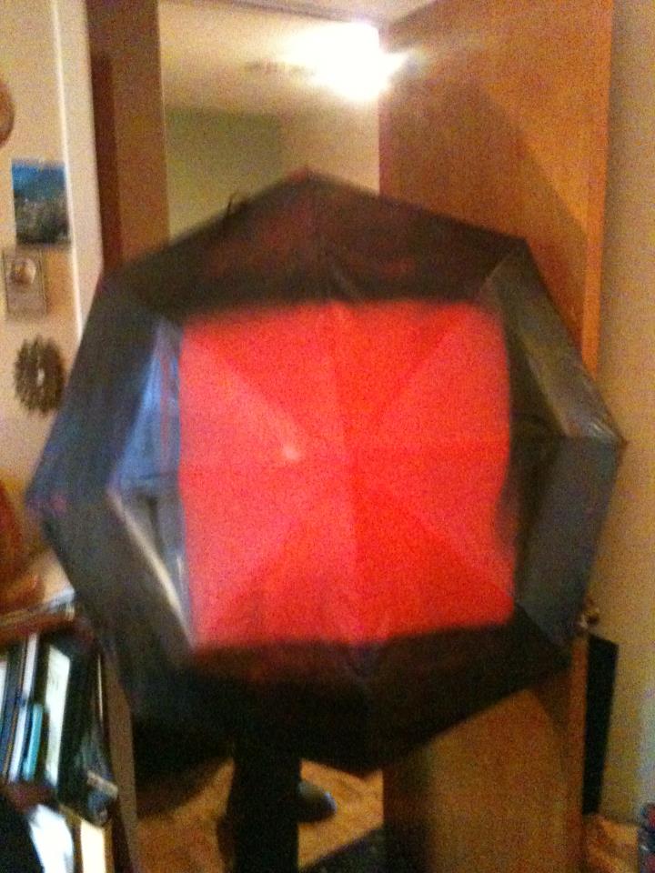 parapluie_carrerouge