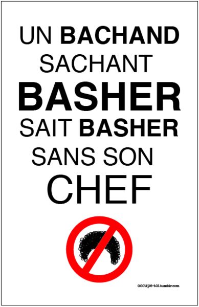 un_bachand_sachant_basher